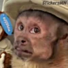Memes Del Monito 12
