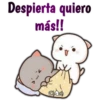 Despierta quiero
más!!
ChAch