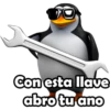 Variados 7