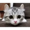Meow meow | Pikachu！ (part 7) 13