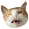 Kali Potato 12