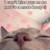 Meow meow | Pikachu! (part 9) 20