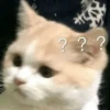 Meow meow | Pikachu！(part 11) 15