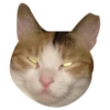 Kali Potato 13