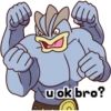 uok bro?