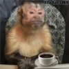 Memes Del Monito 16