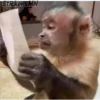 Memes Del Monito 17