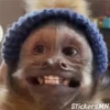 Memes Del Monito 18