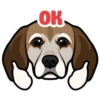 ОК