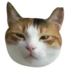 Kali Potato 14