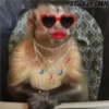 Memes Del Monito 19