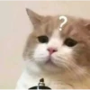 Meow meow | Pikachu！ (part 4) 15