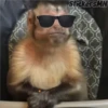 Memes Del Monito 20