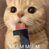 Meow meow | Pikachu! (part 9) 23