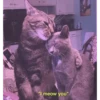Meow meow (part 1) 22