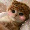 Meow meow | Pikachu (part 2) 14
