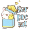 Conejito & Patito  kawaii 19