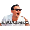 Variados 9