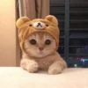 Meow meow | Pikachu！ (part 6) 15