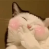 Meow meow | Pikachu! (part 9) 24
