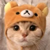 Meow meow | Pikachu！ (part 6) 16