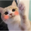 Meow meow | Pikachu！ (part 4) 17