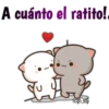 A cuánto el ratito!.
疫乎
元
CHAND