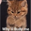 Meow meow | Pikachu！(part 11) 20