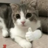 Meow meow | Pikachu! (part 10) 18