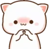 MOCHICAT#2 MOV 14