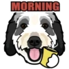 MORNING