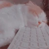 Meow meow | Pikachu (part 2) 19