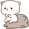 MOCHICAT#6 MOV 17