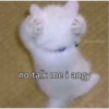 kitty♡︎cute 25
