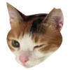 Kali Potato 16