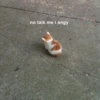 Meow meow | Pikachu！ (part 5) 19