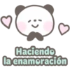 Pandita Cute 17