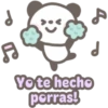 Pandita Cute 19