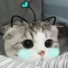 (