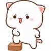 MOCHICAT#8 MOV 13