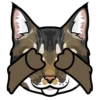 VED