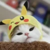 Meow meow | Pikachu！ (part 7) 21