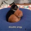 Meow meow | Pikachu！ (part 5) 23