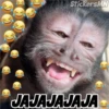 Memes Del Monito 24