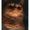 Meow meow | Pikachu！(part 11) 21