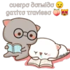 cuerpo dormido
gatito Travieso
O-O
ned
ACheche XX