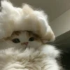 Meow meow | Pikachu! (part 10) 23