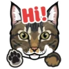 Hi!
FIRE