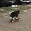 Meow meow | Pikachu (part 2) 24