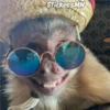 Memes Del Monito 26